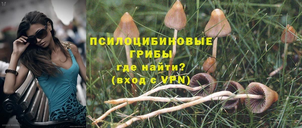 mix Алексин