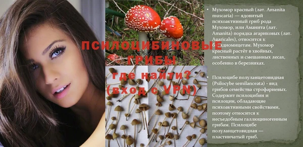 mix Алексин