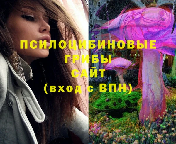 mix Алексин