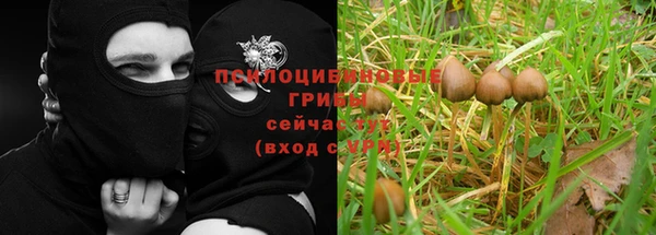 герыч Алексеевка