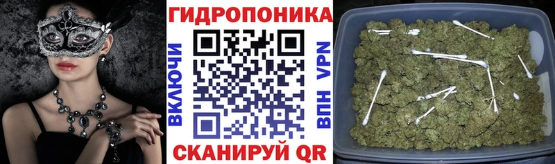 Бошки марихуана AK-47  Осташков 